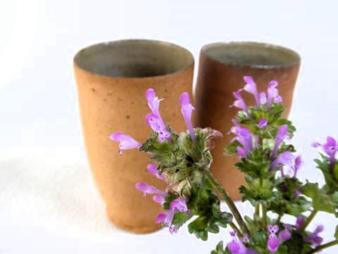 レンガ色のグラス