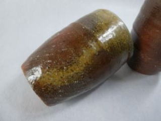 側面から見た画像